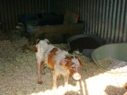 _wsb_429x315_hilfe+ist+notwendig