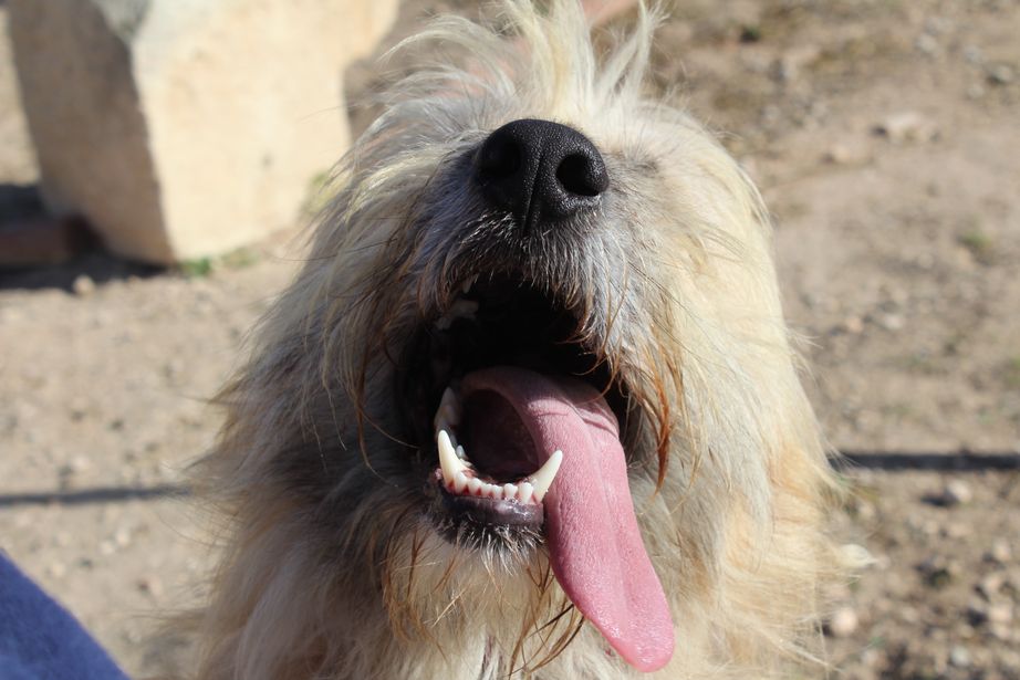 825ad84d-028a-4e33-a252-0ce127bc0735