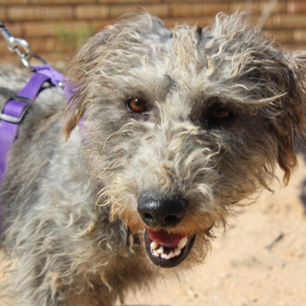 a676081d-9b73-4bc5-bf15-82441e8d97d7