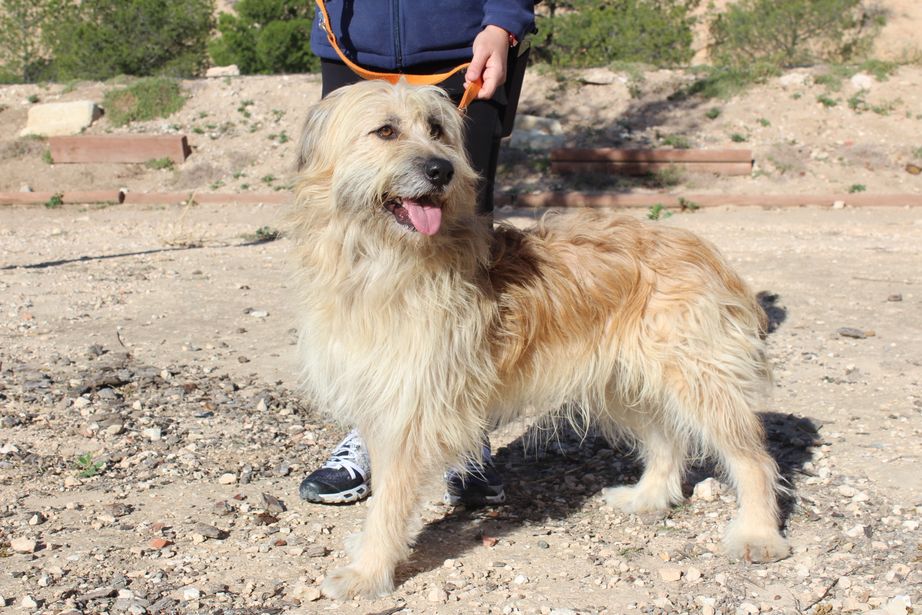 aa2b5ed2-f7ad-46b7-badd-4fc4240eefe8