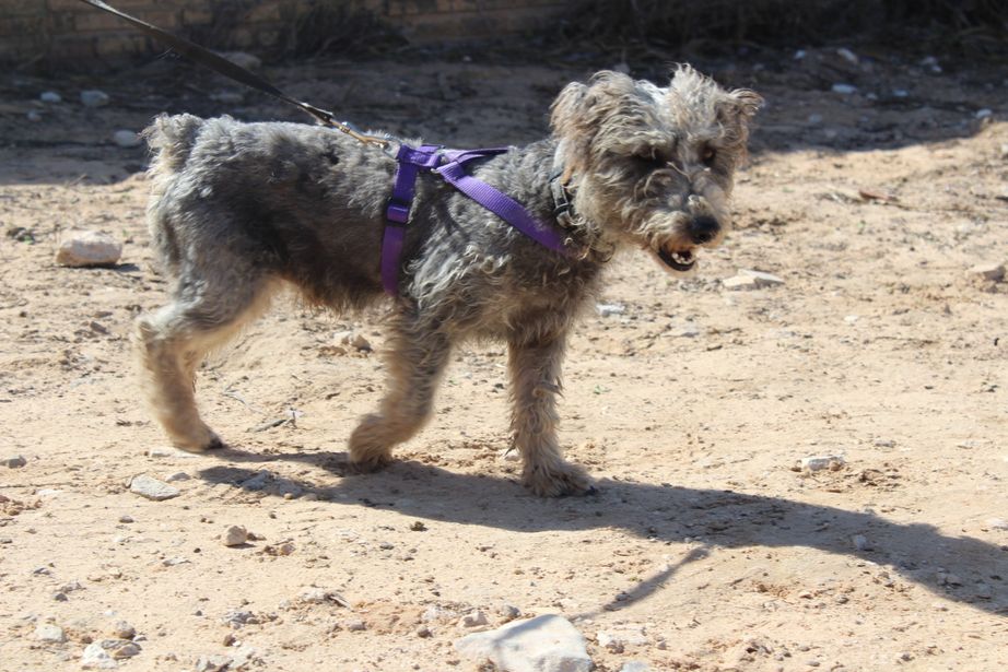 d7d6d7b0-d32f-4452-b5be-79424766ec60