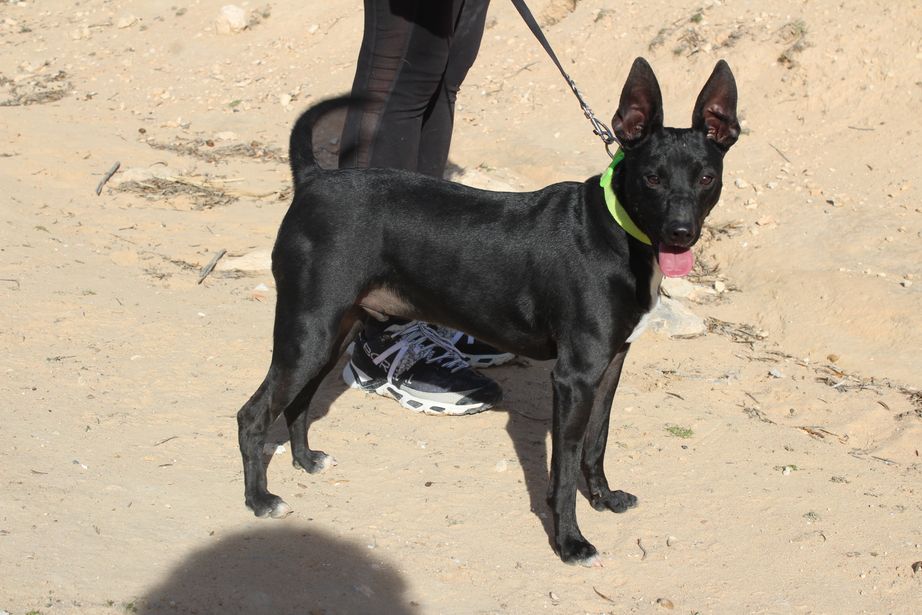 e4c21d9a-b7fc-49b9-87e1-9fe2a623b941