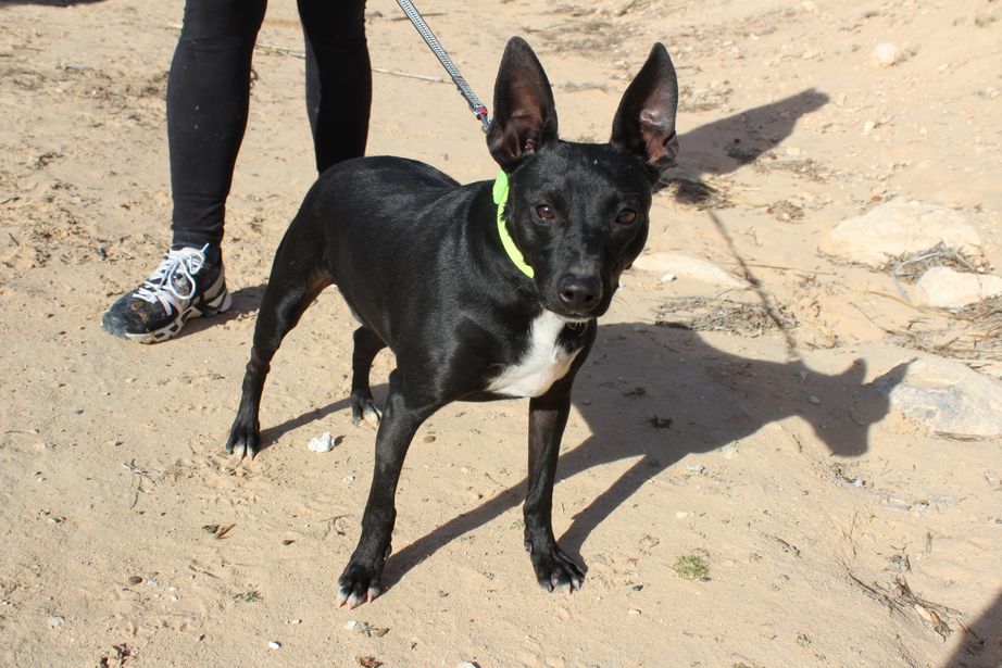 fe6ccdd1-03d5-4f6c-a258-267e3272e585