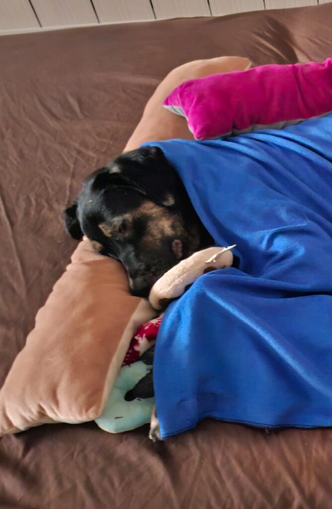 WhatsApp Image 2025-11-25 at 17.19.35