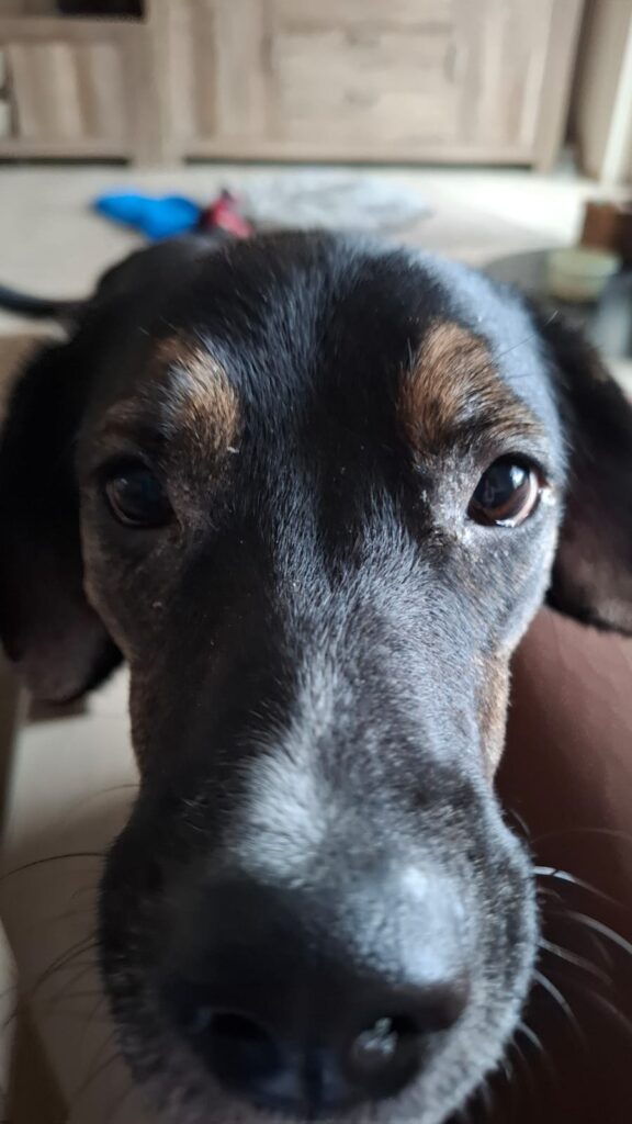 WhatsApp Image 2025-11-25 at 17.20.59