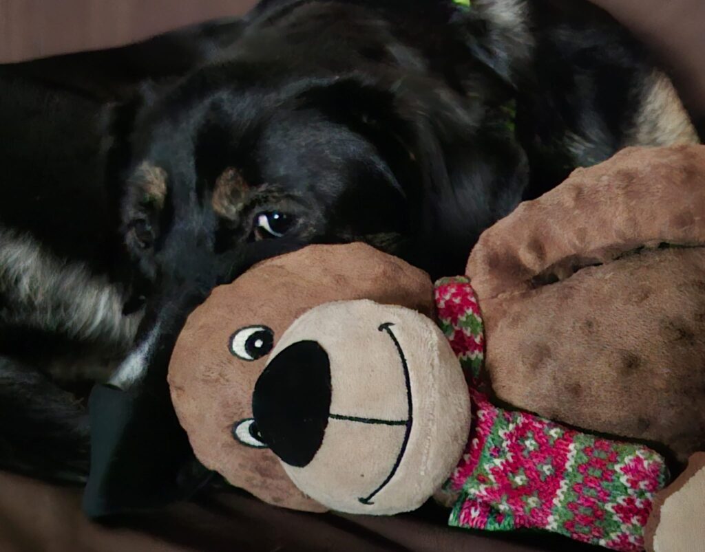 WhatsApp Image 2025-11-25 at 17.23.13