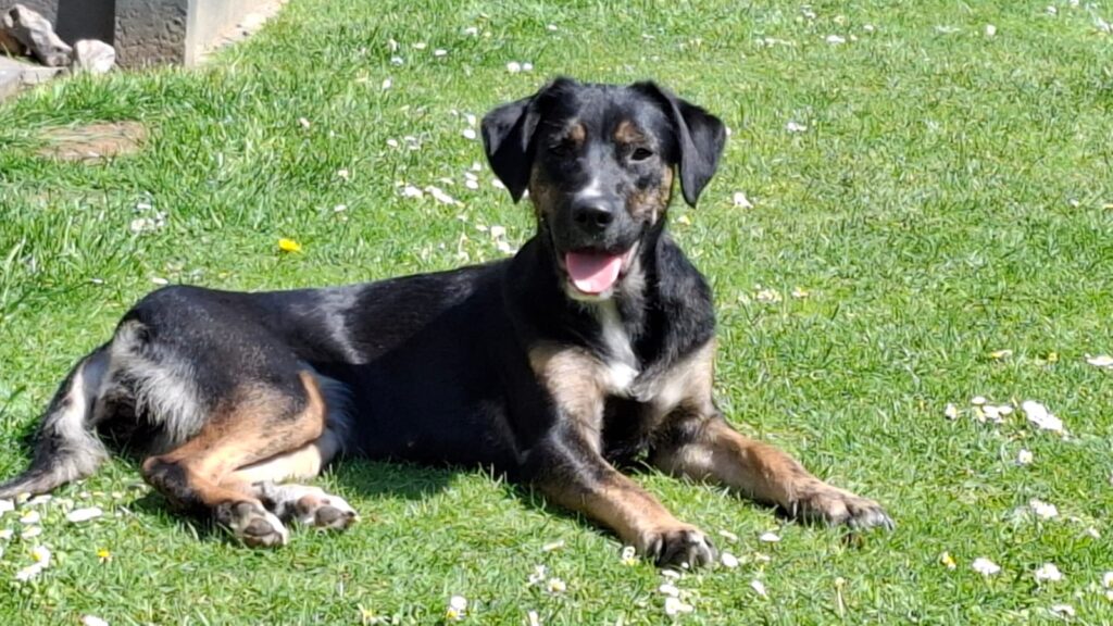 WhatsApp Image 2025-11-25 at 17.25.27