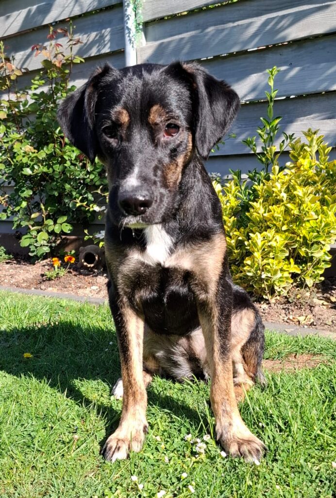 WhatsApp Image 2025-11-25 at 17.25.271