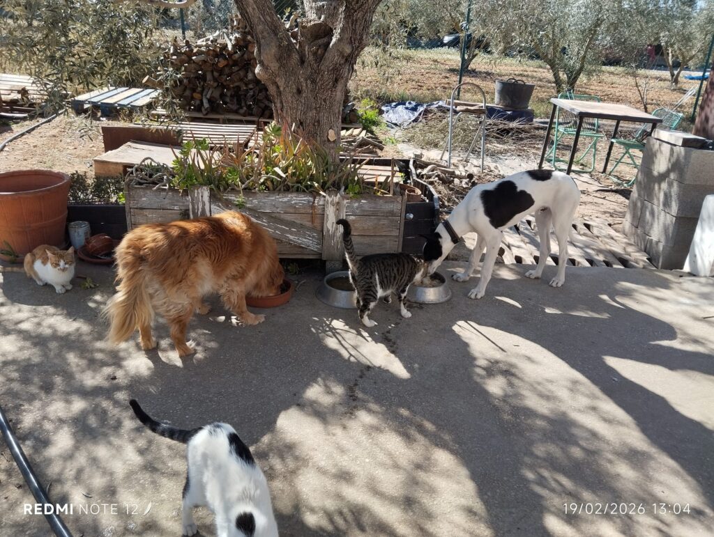 PHOTO-2026-02-20-16-04-57