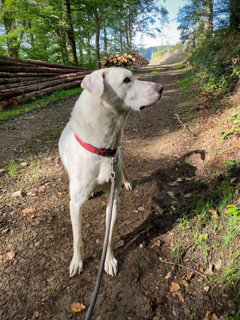 WhatsApp Image 2026-01-05 at 20.40.40