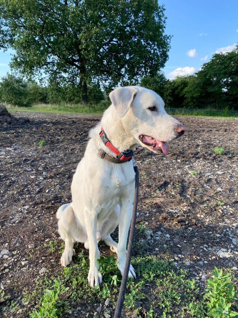 WhatsApp Image 2026-01-05 at 20.40.41