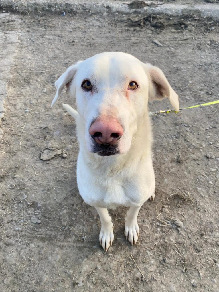 WhatsApp Image 2026-01-05 at 20.40.412