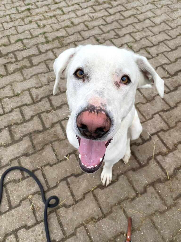 WhatsApp Image 2026-01-05 at 20.40.413