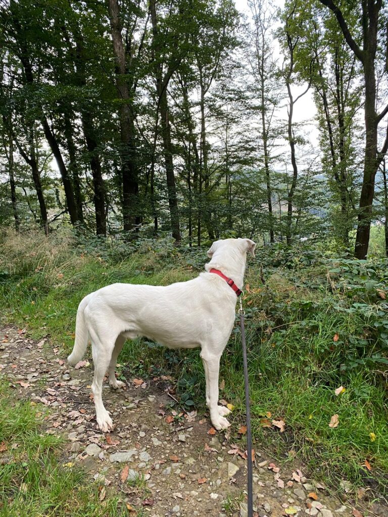 WhatsApp Image 2026-01-05 at 20.40.414