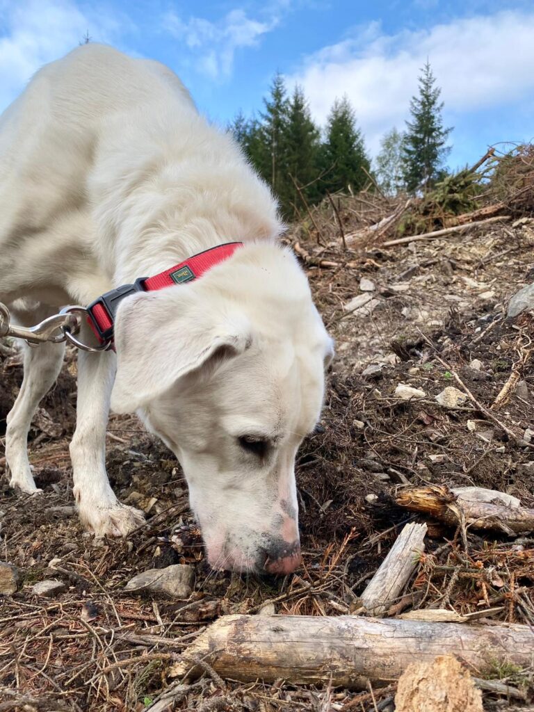 WhatsApp Image 2026-01-05 at 20.40.415