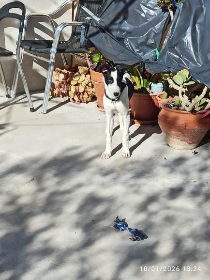 WhatsApp Image 2026-01-28 at 17.26.11