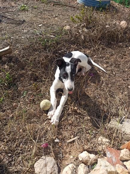 WhatsApp Image 2026-01-28 at 17.26.120