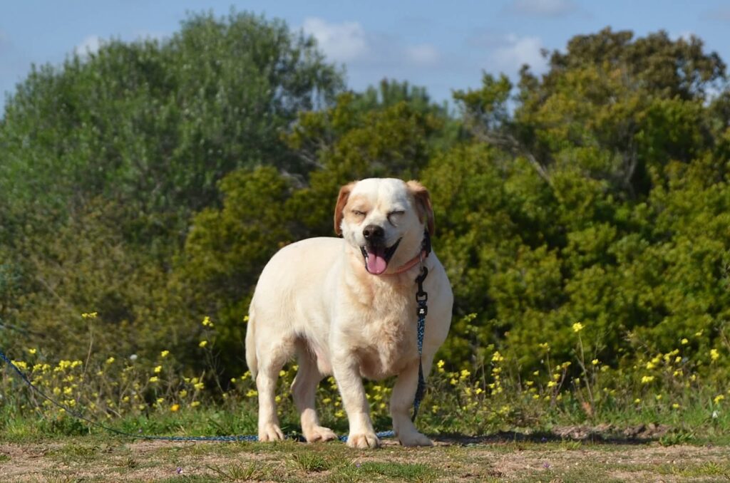 PHOTO-2026-02-15-09-14-19 (1)