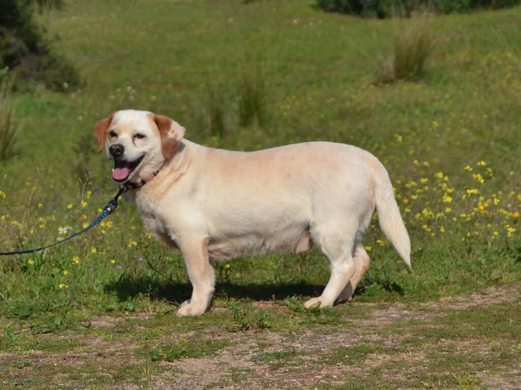 PHOTO-2026-02-15-09-14-19