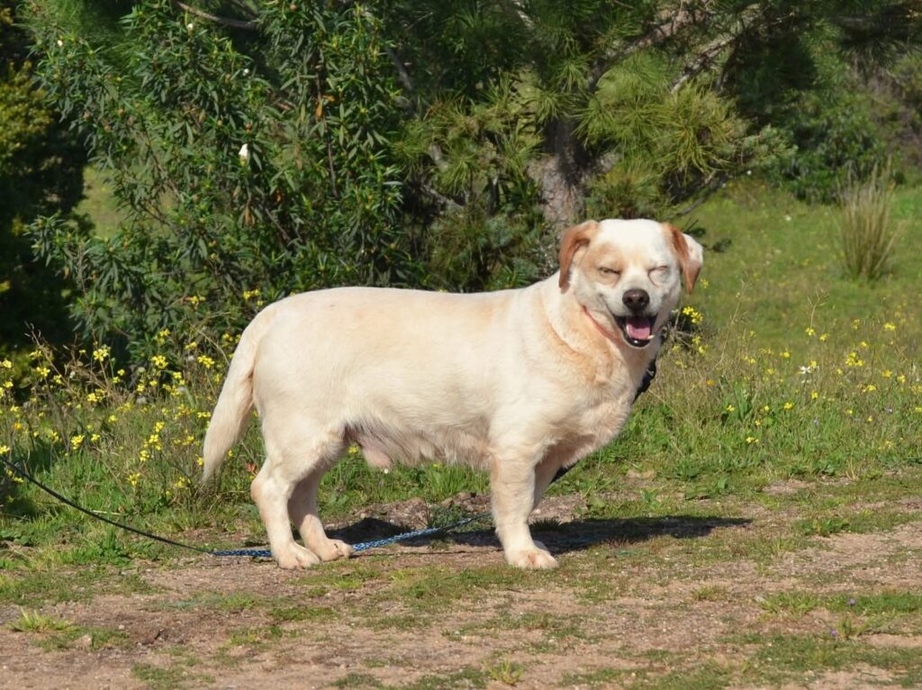 PHOTO-2026-02-15-09-14-20 (1)