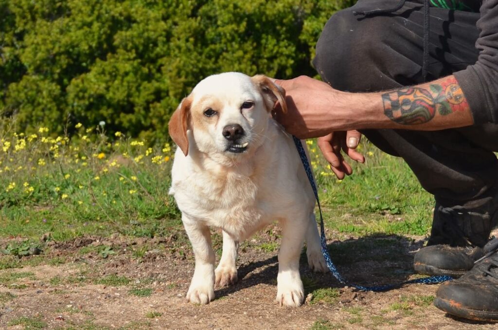 PHOTO-2026-02-15-09-14-20