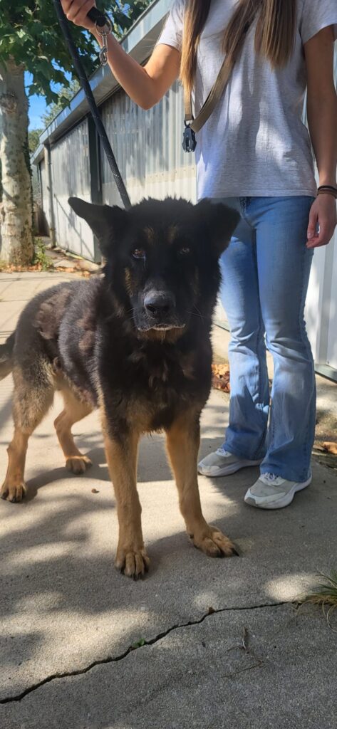 PHOTO-2026-02-21-19-26-34