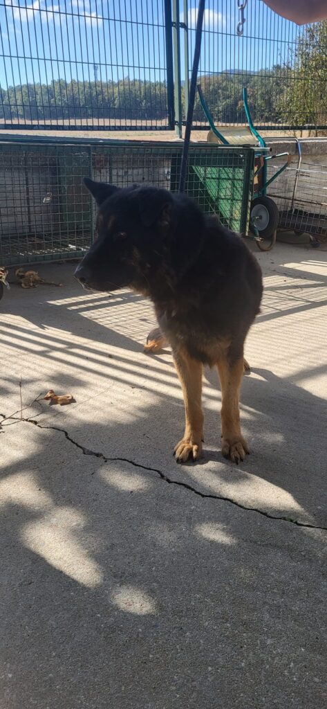 PHOTO-2026-02-21-19-26-35