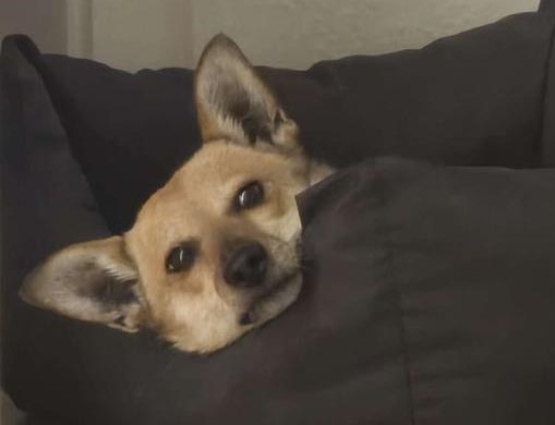 WhatsApp Image 2026-02-05 at 16.37.25