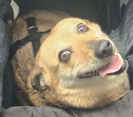 WhatsApp Image 2026-02-05 at 16.37.250