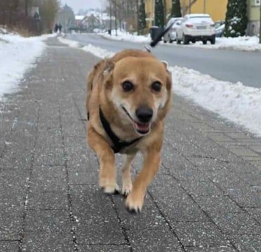 WhatsApp Image 2026-02-05 at 16.37.51