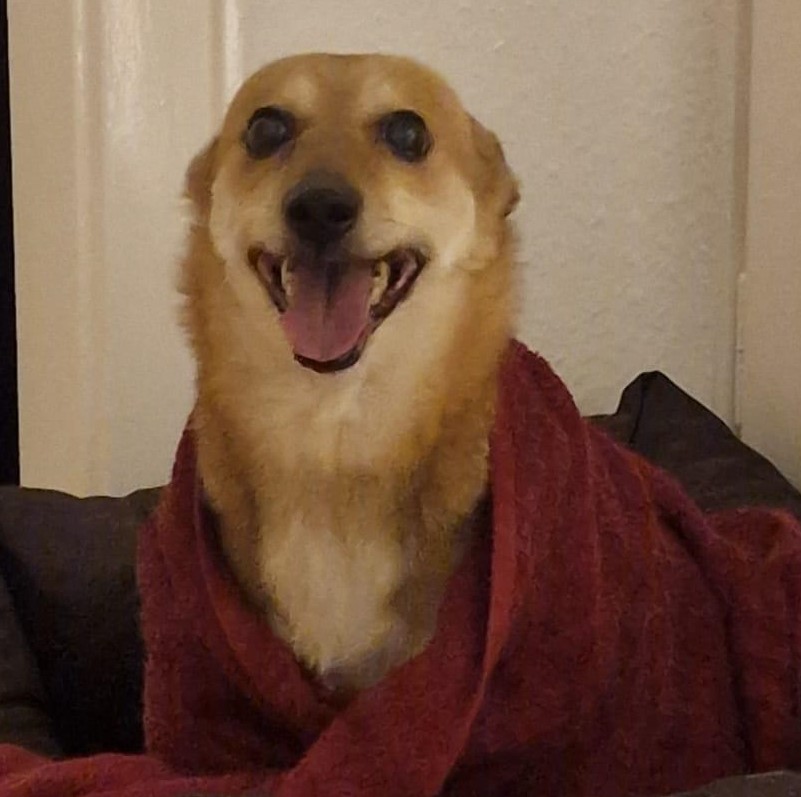 WhatsApp Image 2026-02-05 at 16.37.511