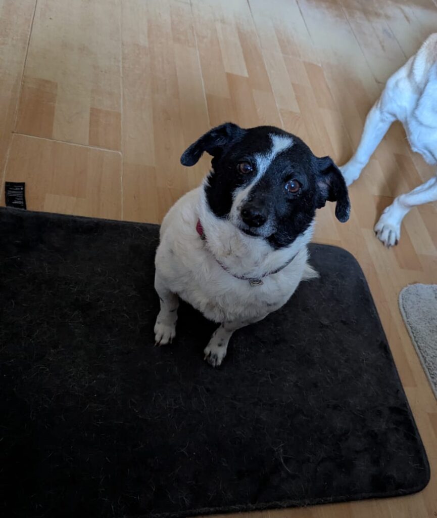 PHOTO-2026-04-12-09-25-07