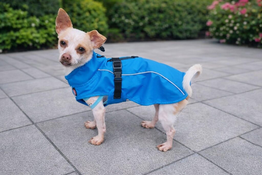 WhatsApp Image 2026-03-22 at 17.25.01