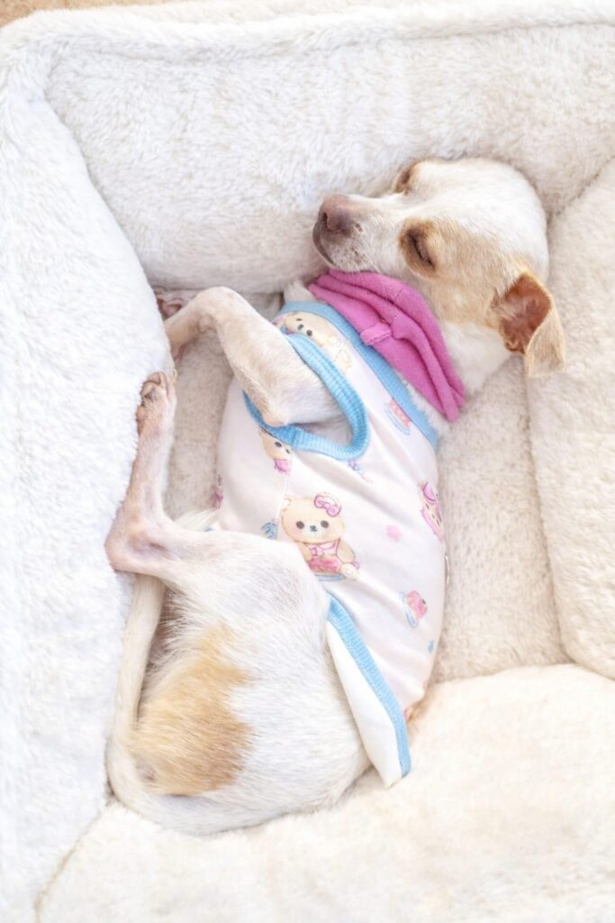 WhatsApp Image 2026-03-22 at 17.25.010