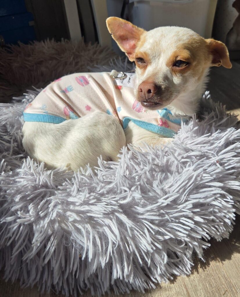 WhatsApp Image 2026-03-22 at 17.25.011