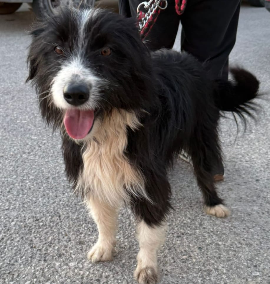 WhatsApp Image 2026-03-28 at 16.41.32