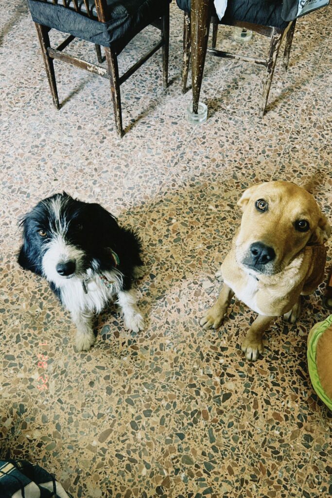 WhatsApp Image 2026-03-28 at 16.41.33