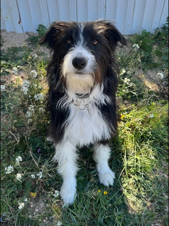 WhatsApp Image 2026-03-28 at 16.41.33