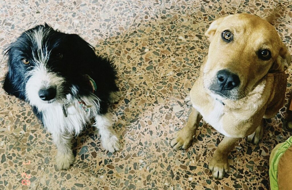 WhatsApp Image 2026-03-28 at 16.41.3301