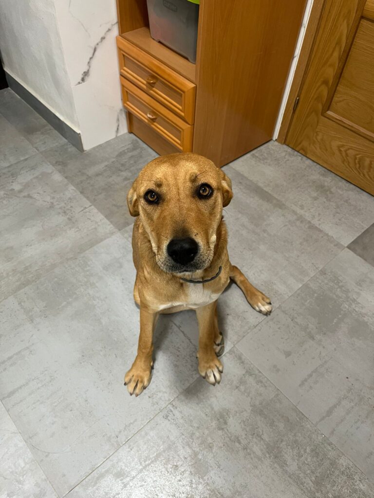 WhatsApp Image 2026-03-28 at 16.41.34