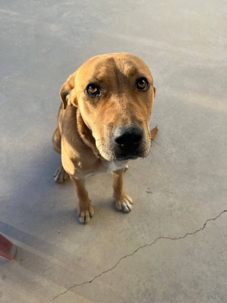 WhatsApp Image 2026-03-28 at 16.41.340