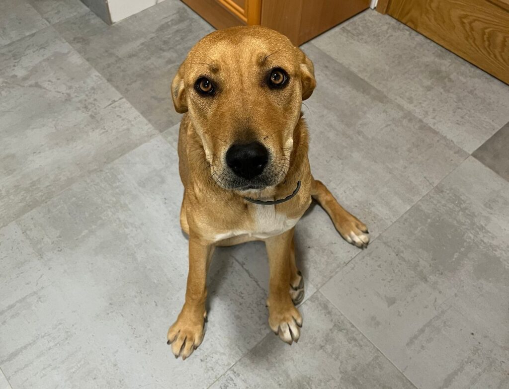 WhatsApp Image 2026-03-28 at 16.41.341