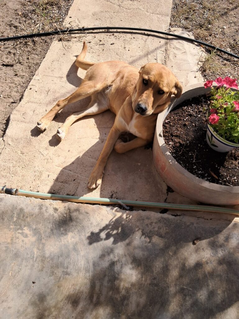 WhatsApp Image 2026-03-28 at 16.41.35