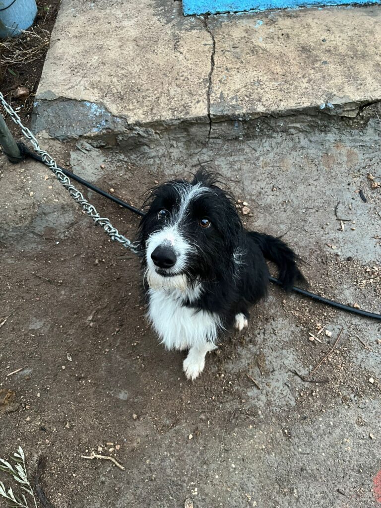 WhatsApp Image 2026-03-28 at 16.41.35