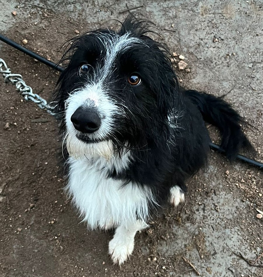 WhatsApp Image 2026-03-28 at 16.41.350