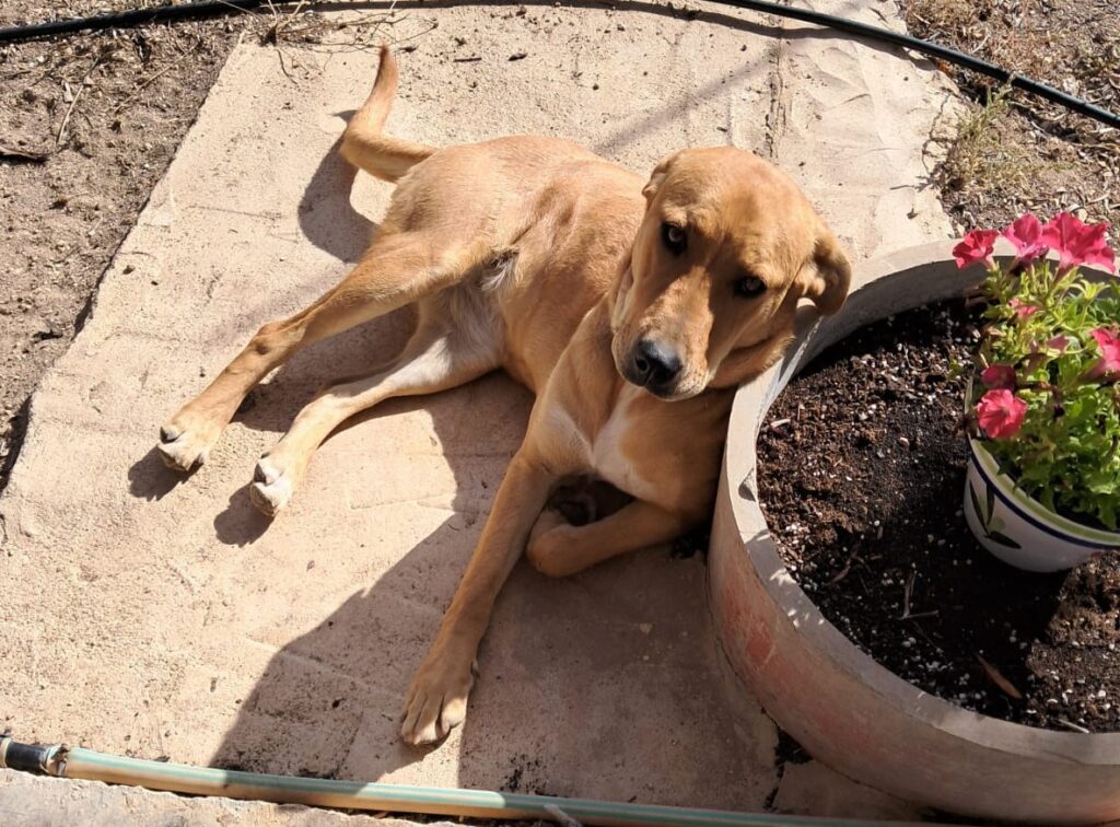 WhatsApp Image 2026-03-28 at 16.41.351