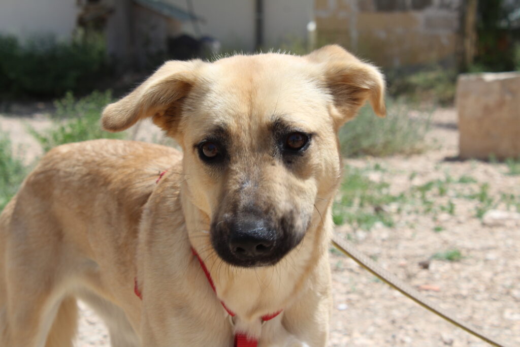 IMG_0058